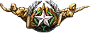 Vigilant badge icon